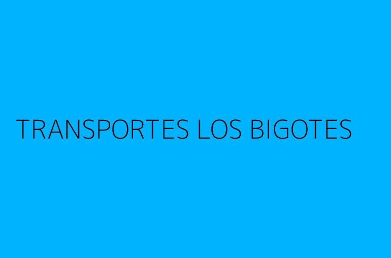 TRANSPORTES LOS BIGOTES